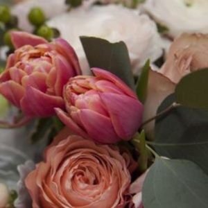 Meet your Posher, Devorah